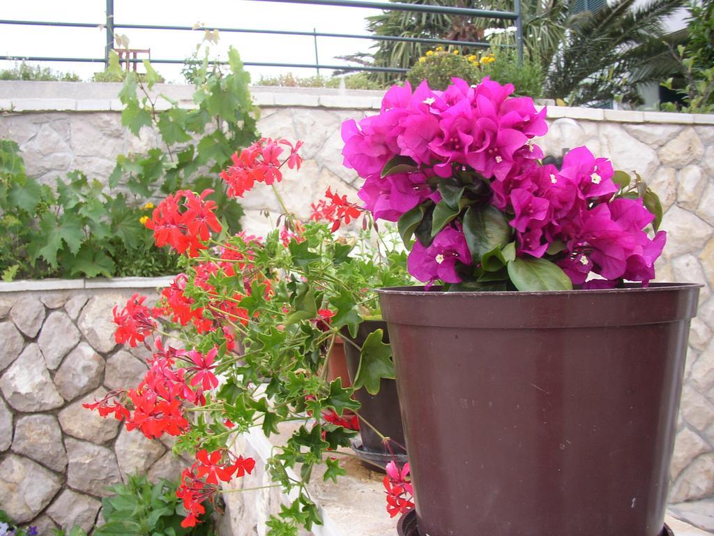 Appartement Pilic Ljiljana
