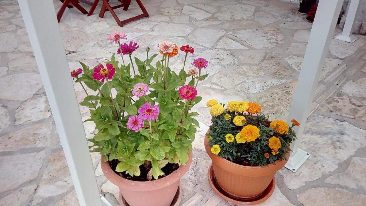 Pilic Ljiljana Apartment